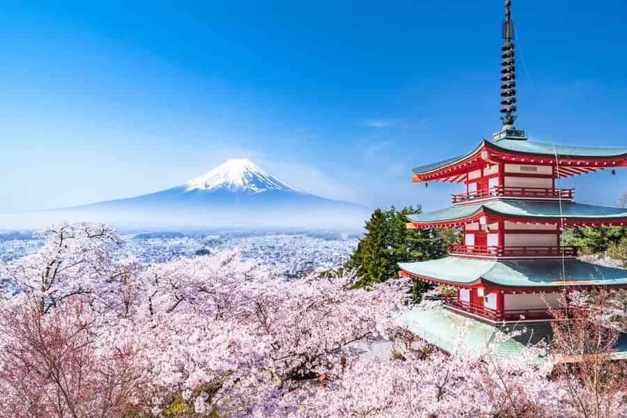 Mount Fuji Private Tour mit englischsprachigem Guide. Foto: GetYourGuide Mount Fuji Private Tour mit englischsprachigem Guide. Foto: GetYourGuide