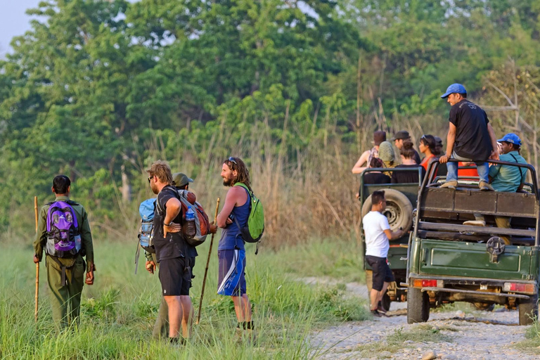 Chitwan: All Inclusive 3 days Safari with Tharu Village tour 3 Star Hotel: All Inclusive Package 2 Nights & 3 Days
