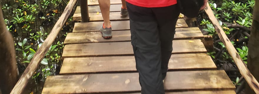 Zanzibar : forêt de Jozani, tortues géantes et plage de Mtende