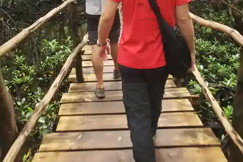 ZANZIBAR: Jozani forest, Reptile park & Mtende Beach tour