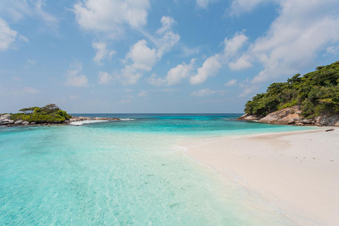 Phuket Dolfijn Zoektocht: Expeditie naar Racha &amp; Maiton eiland