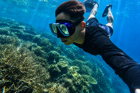 Coron: WWII Shipwrecks & Pass Island Snorkeling Tour