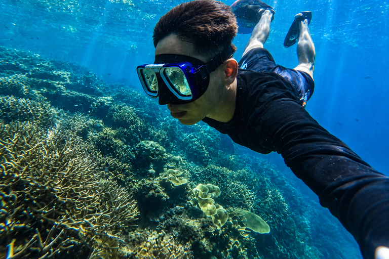 Coron: WWII Shipwrecks & Pass Island Snorkeling Tour