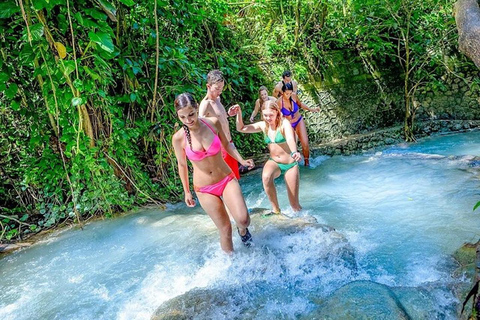 Montego Bay: Dunn&#039;s River Falls &amp; Luminous Lagoon Tour