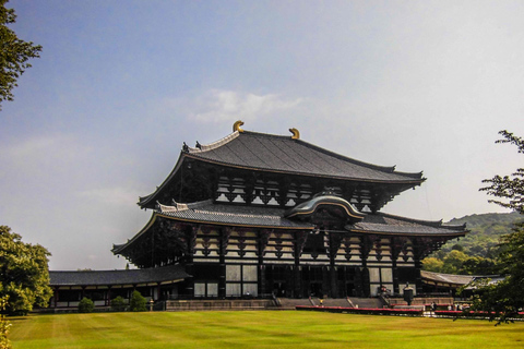 From Osaka/Kyoto: Kyoto & Nara Highlight Bus Tour with Lunch From Kyoto VIP Lounge (Meet at 8:50AM)