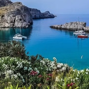 Rhodos: Inselrundfahrt mit Wein, Olivenöl und Honigverkostung
