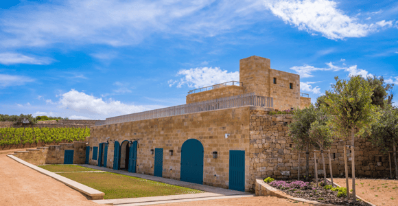 Malta: Ta&#39; Betta Winery Tour and Wine Tasting Experience