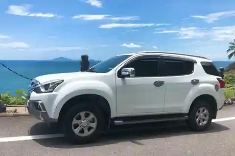 Da Nang/ Hoi an: Citytour en coche de alquiler de día completo con chófer