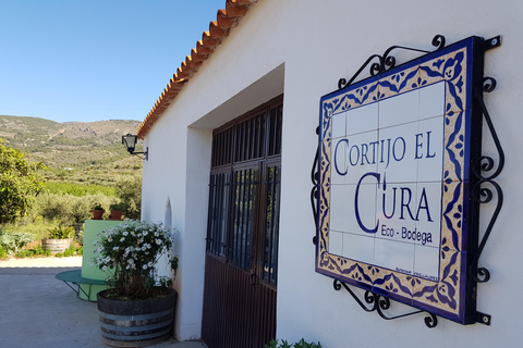 Alpujarra: Ruta del vino y aperitivo local en Bodega Ecológica