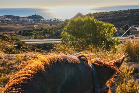 Alicante: Villajoyosa 2-hour Horseback Riding Tour