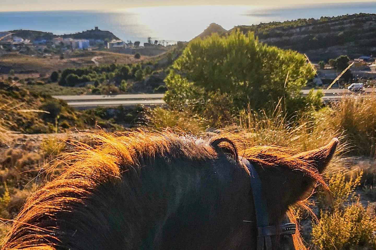 Paseo a Caballo en las Montañas de Villajoyosa con vistas al mar