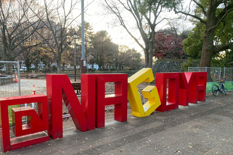 Nagoya’s Cultural Gems: Castle and Historic Residences