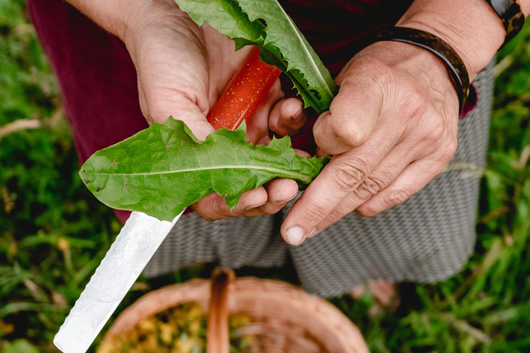 Munich: Healing Power on the Banks of the Isar - Rediscovering the Knowledge of Wild Herbs