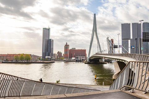 Rotterdam: Tour privado de arquitectura con un experto local