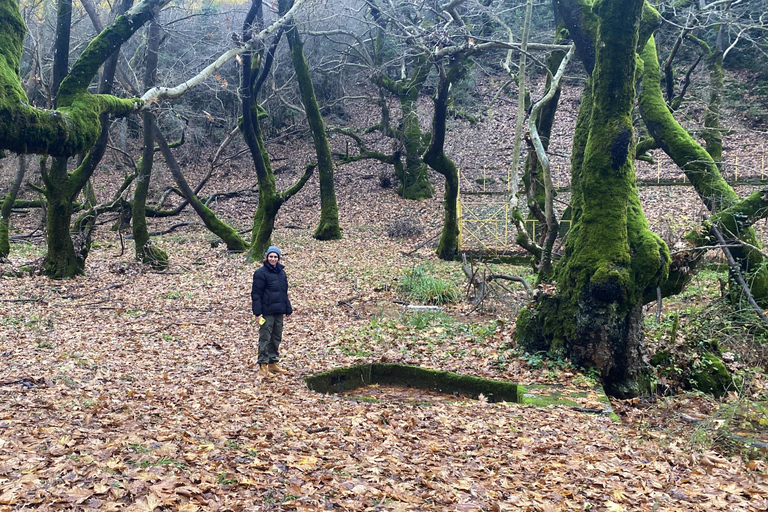 Athens: Kalavrita UNESCO Global Geopark & Pounta Beach Swim