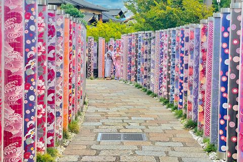 Kyoto Full-Day Customizable Private Tour with English Guide Luxury Toyota Land Cruiser Prado