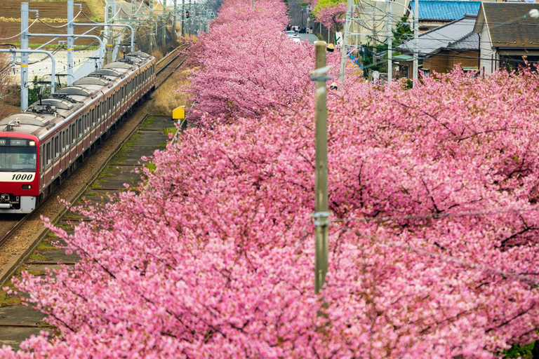 Tokio: Izu-schiereiland Trein Mt Omuro, Capibara-sightseeingtripGroepstour met 07:20 uur Meetup op het station van Tokio