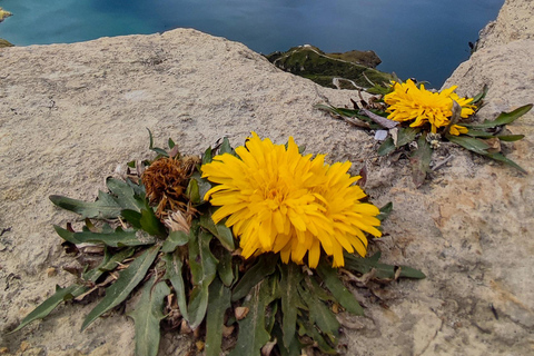 Quilotoa Lake: Tour Quito to Quilotoa Lake and Toachi Canyon