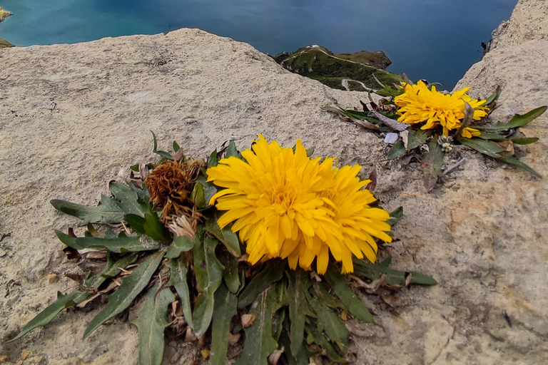 Lac Quilotoa : Visite de Quito au lac Quilotoa et au canyon de Toachi