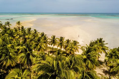 Maceió: Excursión a la Playa de Maragogi