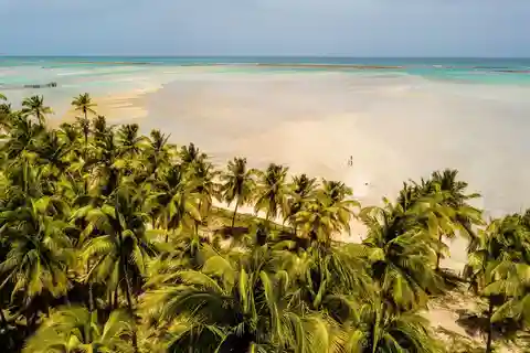 Maceió: Excursión a la Playa de Maragogi
