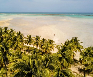 Maceió: Passeio à praia de Maragogi