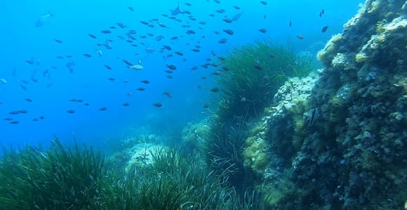 Pag: Wasserwanderung durch die Meerenge von Ljubačka