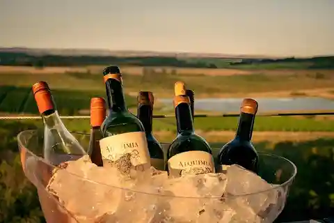 Punta del Este: Visita à adega Bodega Cerro del Toro e degustação de produtos premium