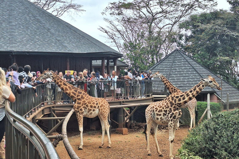 Parque Nacional de Nairobi, Sheldrick Wildlife Trust e Giraffe Center