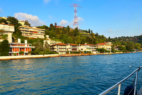 Istanbul: Bosphorus and Golden Horn Sunset Yacht Cruise