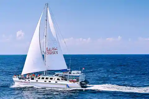 From Bali: Sail, Snorkel, & Mangrove Tours to Nusa Lembongan