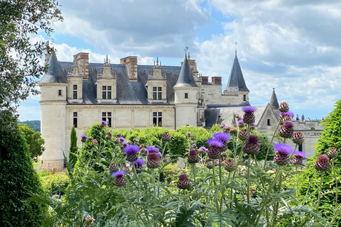 3 châteaux de la Loire en direct Petit groupe guidé en minibus Mercedes