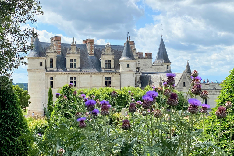 3 Loire-slott Live guidad liten grupp med Mercedes minivan