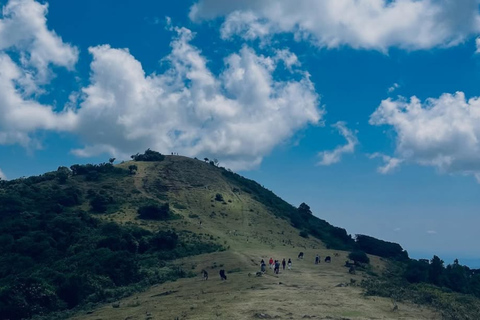 Nairobi: Vandring i Ngong Hills och dagsutflykt till en Maasai-byEnsam resenär