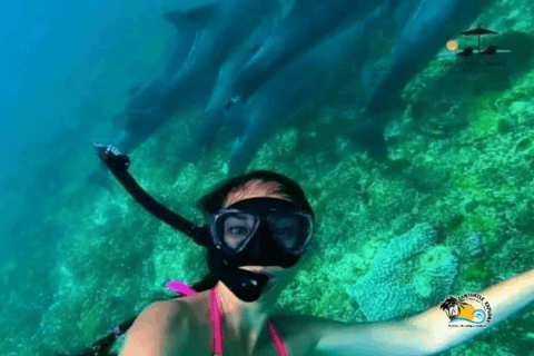 From Nungwi/Kendwa: Mnemba Atoll Starfishes & Dolphins Tour Shared Tour with Nungwi Beach Meeting Point without Lunch