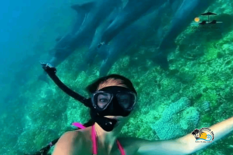 From Nungwi/Kendwa: Mnemba Atoll Starfishes & Dolphins Tour Shared Tour with Nungwi Beach Meeting Point without Lunch