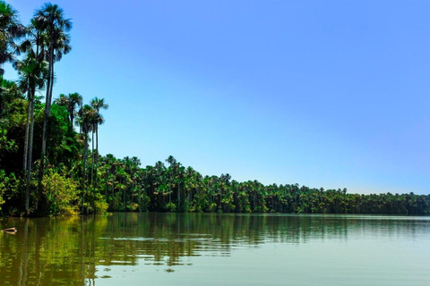 Tambopata Tour 3 Days