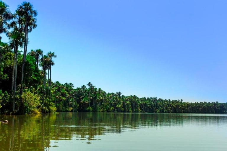 Tambopata Tour 3 Days