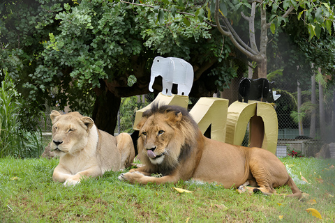 Entebbe : Dierentuin en botanische tuinen tour