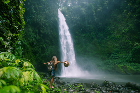 Bali: Private Jungle Swing, Waterfall & Rice Paddy Tour Private Tour with Entrance Fess