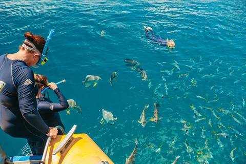 Tour di rafting nell&#039;oceano delle Whitsundays: Snorkeling, passeggiata e WhitehavenSouth Whitehaven - più tempo nella spiaggia di Whitehaven