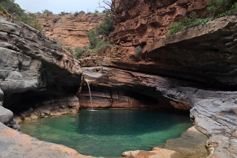From Agadir/Taghazout: Paradise Valley Guided Tour with Hike