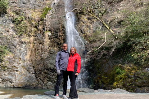 Parque Minoo: caminhada guiada pela natureza