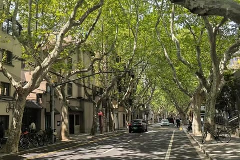 Shanghai Local Lifestyle Walk with Brunch and Cafés
