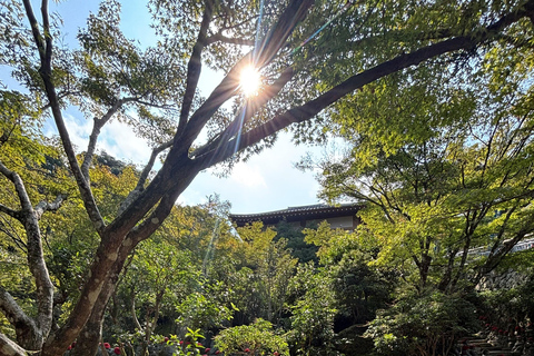 Hiroshima: Miyajima Private Tour with Ferry Ride