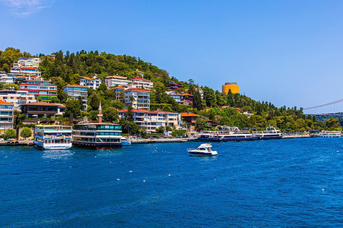 Entradas para Santa Sofía, la Cisterna Basílica y un crucero por el Bósforo