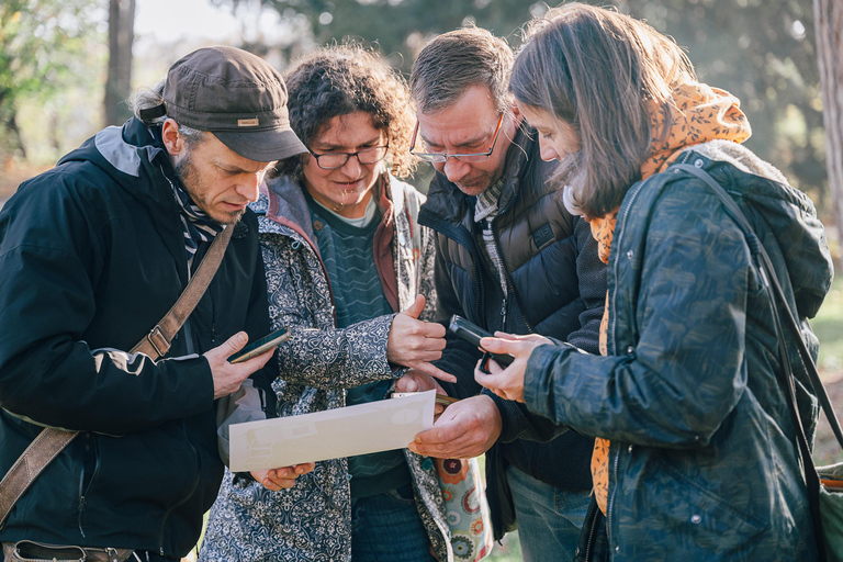 Dresden: 'The Wonder Forest' mobile scavenger hunt through the big garden