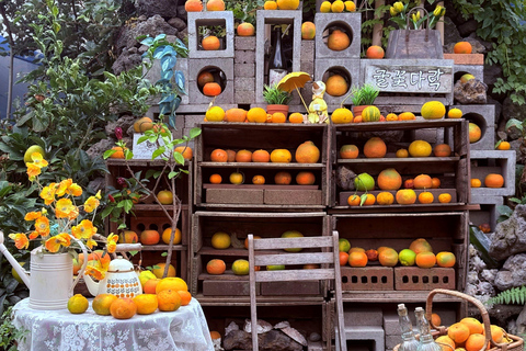 Jeju Trendy Café Tour and When Life Gives You Tangerines