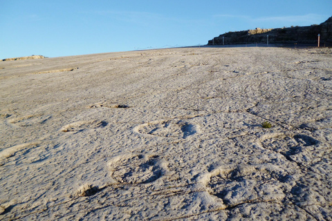 Lissabon: Dinosaurier-Fußabdrücke, Höhlen und Óbidos-TourTour für kleine Gruppen: Dinosaurierfußabdrücke, Höhlen und Óbidos