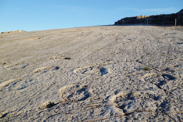 Lissabon: Dinosaurier-Fußabdrücke, Höhlen und Óbidos-TourTour für kleine Gruppen: Dinosaurierfußabdrücke, Höhlen und Óbidos